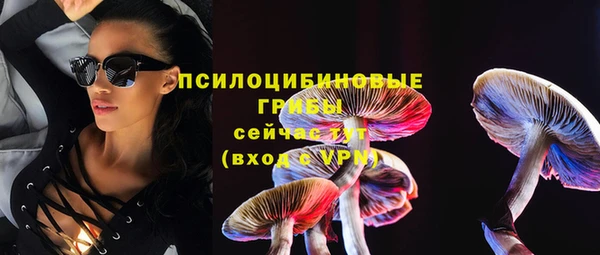 a pvp Приозерск