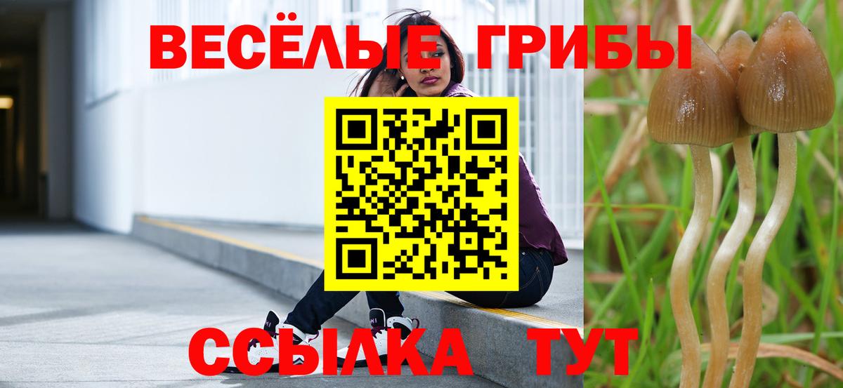 Псилоцибиновые грибы Psilocybe  Вход с VPN  Курск 